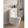 Care Toilet – KDK800 Asta Care Rimless Toilet Suite
