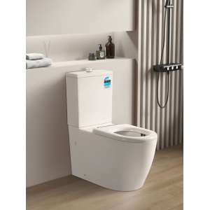 Care Toilet – KDK800 Asta Care Rimless Toilet Suite