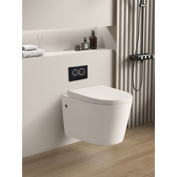 In-Wall Toilet Suite - R&T- Wall Hung - G30031+KDK302 - Image 2