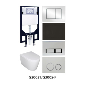 In-Wall Toilet Suite