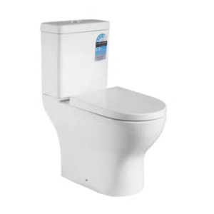 Skew Toilet