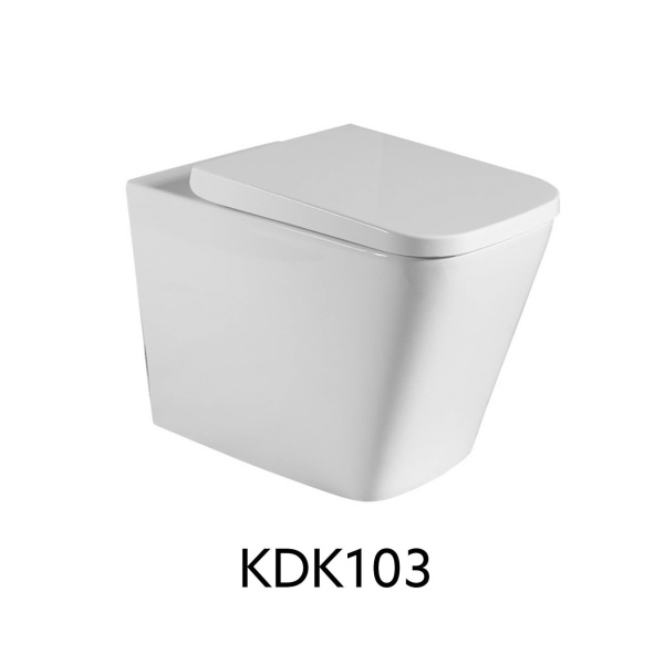 In-Wall Toilet Suite - R&T - Floor - G30032+KDK102 - Image 5
