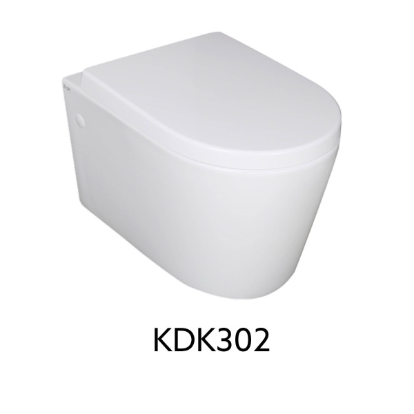 In-Wall Toilet Suite - R&T- Wall Hung - G30031+KDK302 - Image 3