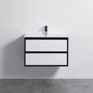 Petra PE Wall Hung Cabinet Only  900*460*520mm - PE900WH