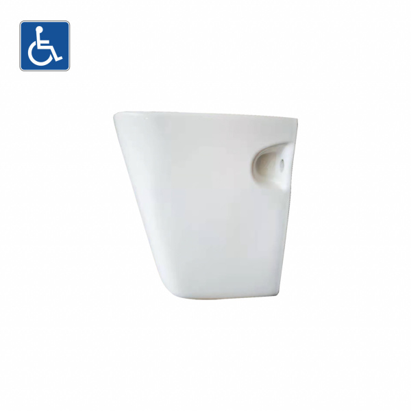 Care Wash Basin - PW5543-P