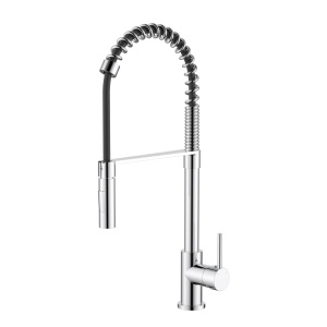 Kasper Spring Multi-Function Kitchen Mixer