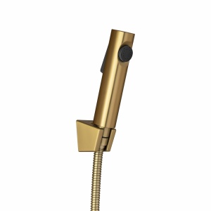 Brushed Brass ABS Toilet Bidet
