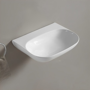 Ellips Fine Ceramic Wall Hung Basin NTH 500x385