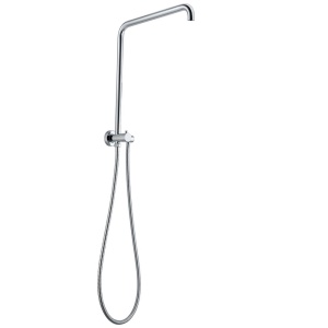 Chrome Shower Rail