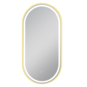 500x1000mm Matte Brushed Gold Framed LED Dressing Mirror